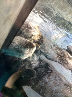01_02 Monterey Aquarium
