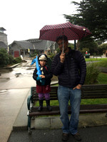 12_20 Rainy Day at SF Zoo and DeYoung